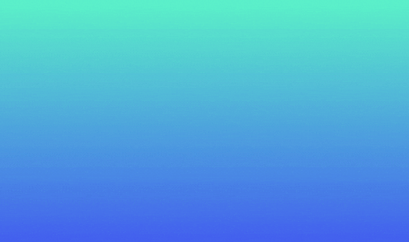 PLAINER株式会社 本山 智男 PLAINER株式会社 本山 智男